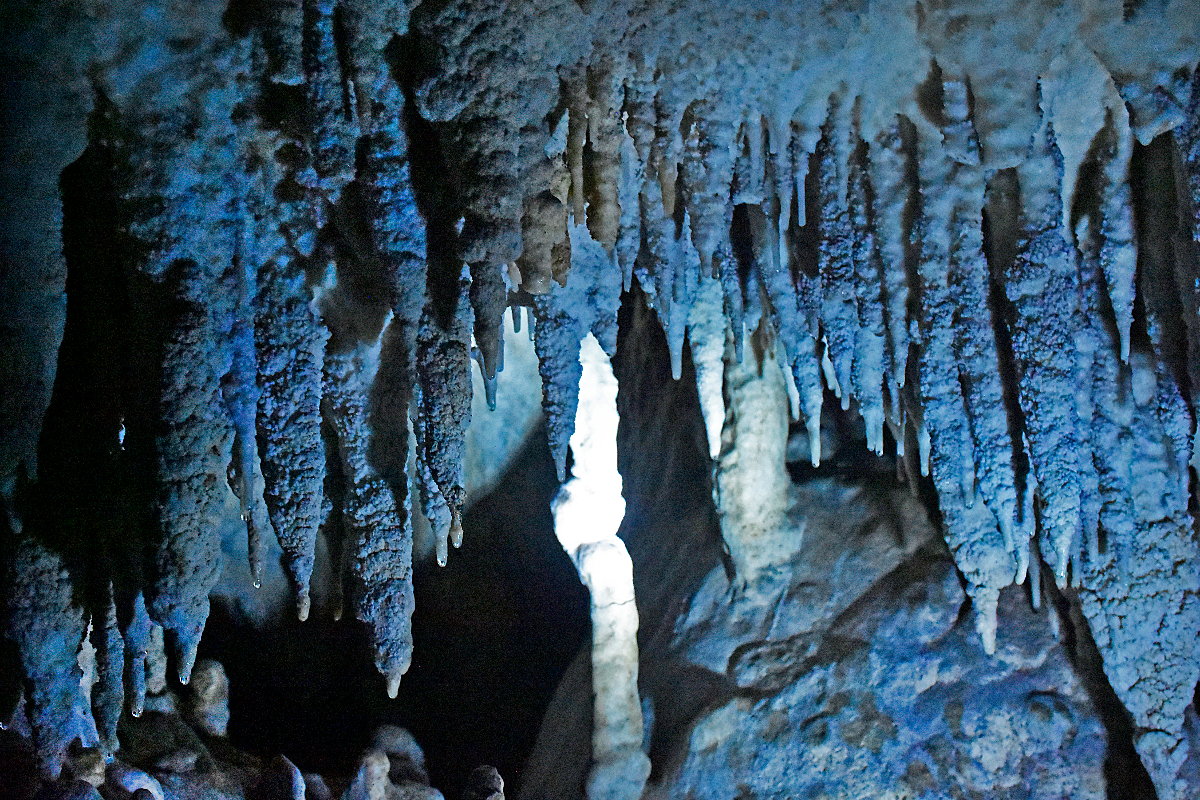 Cuevas Chaparral 