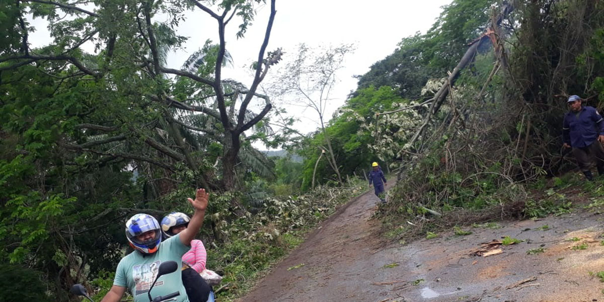 En San Luis la caída de varios árboles taponó una de las vías principales del municipio.	