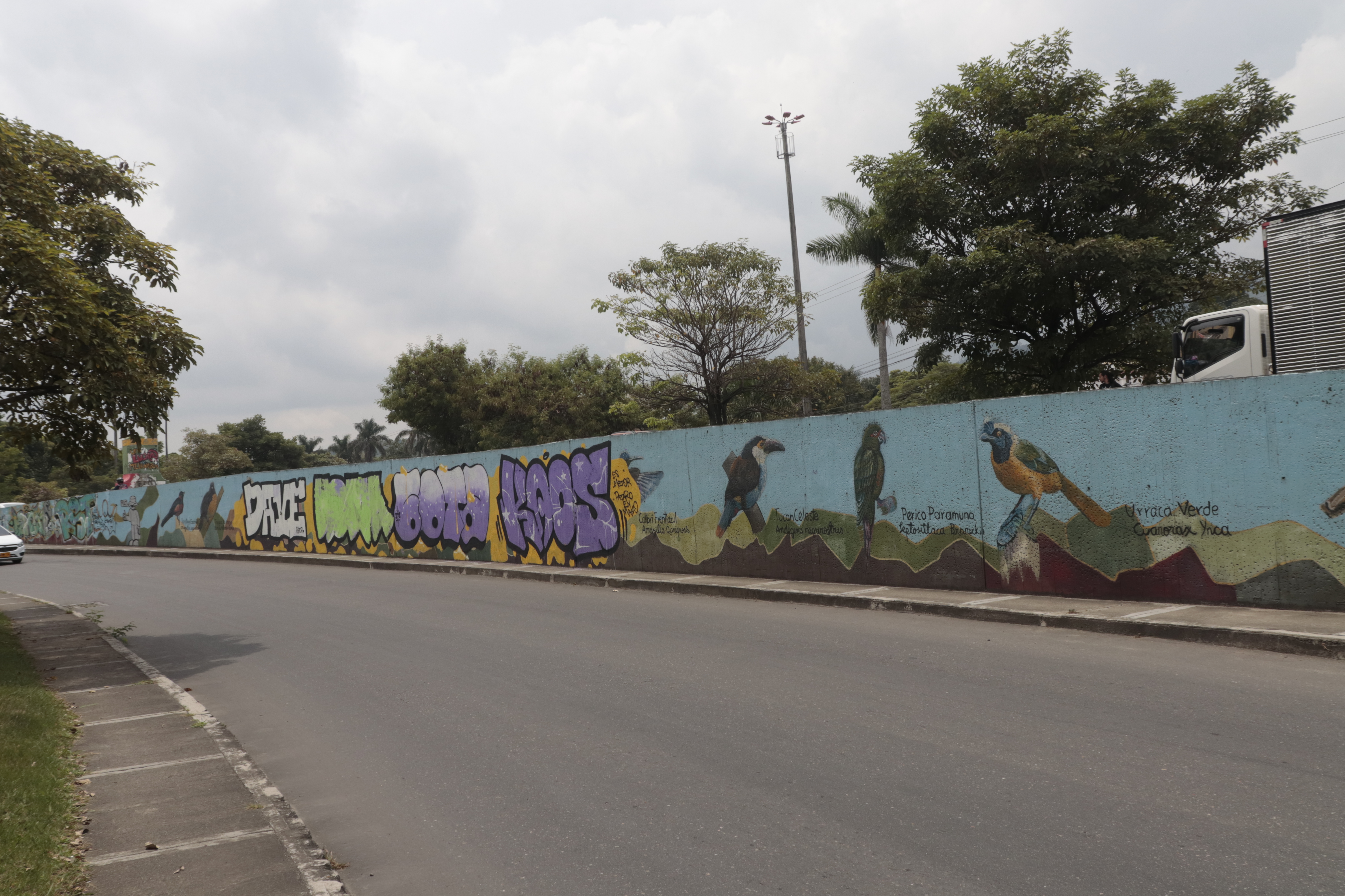 Vandalizan obras en los murales del viaducto del Sena