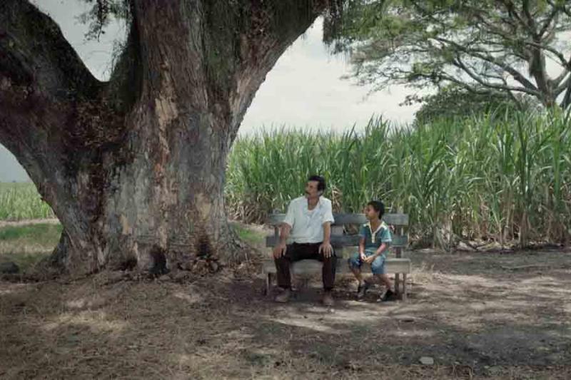 Escena de la película colombiana ganadora del Festival de Cannes ‘La tierra y la sombra’. 