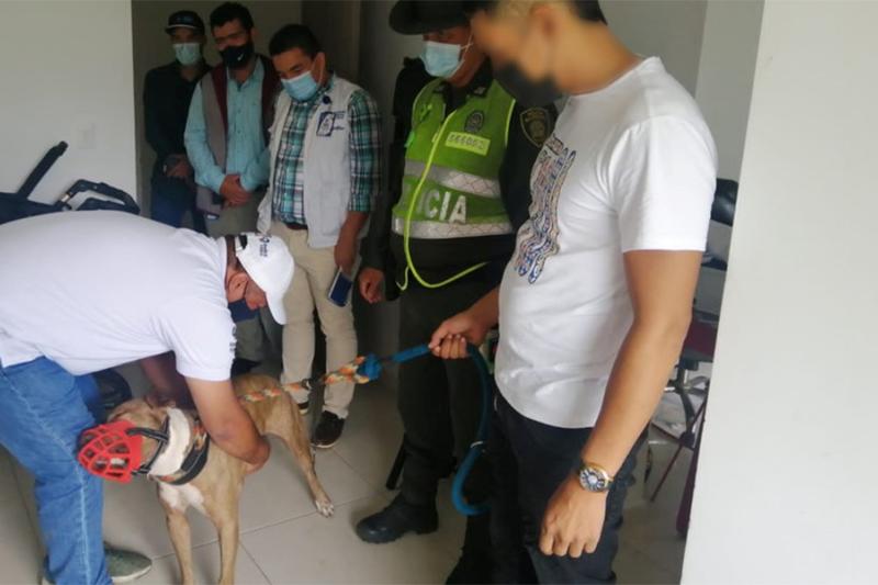 La Policía y otras instituciones hicieron una visita para verificar el estado del canino.