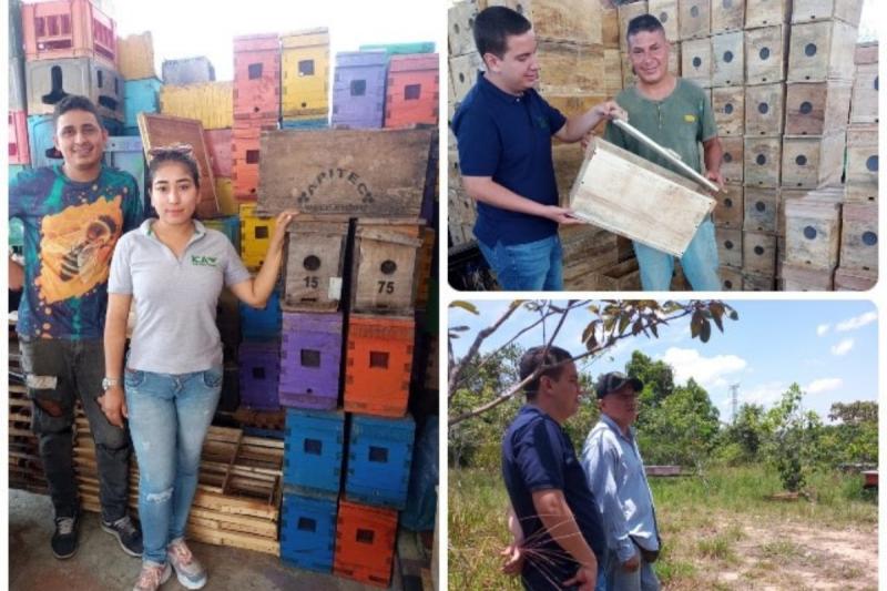 El ICA trabaja en equipo con los productores, gremios y entidades de los ámbitos nacional y regional con el fin de buscar estrategias para proteger a las abejas y otros polinizadores desde la agricultura.