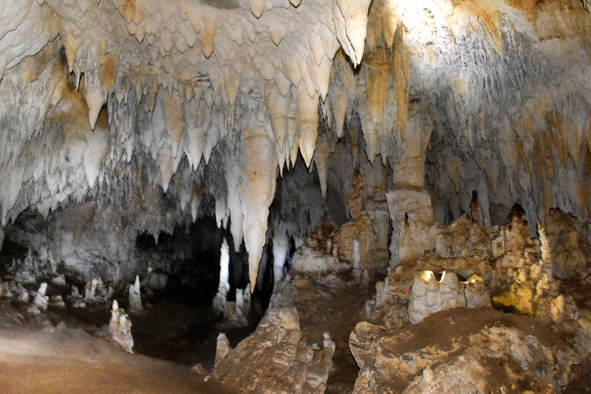 Cuevas Chaparral