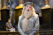 De esta enfermedad murió el actor Michael Gambon, quien interpretó a Dumbledore en Harry Potter