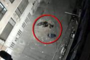 ¡Escalofriante video! Pareja murió al caer de una terraza al vacío: casi aterrizan sobre personas