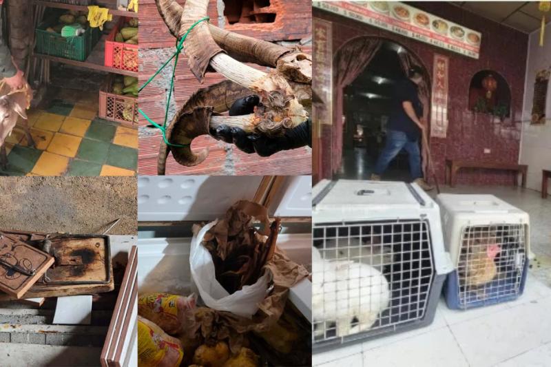 Pillan famoso restaurante de comida china con animales vivos que sacrificaban en la cocina