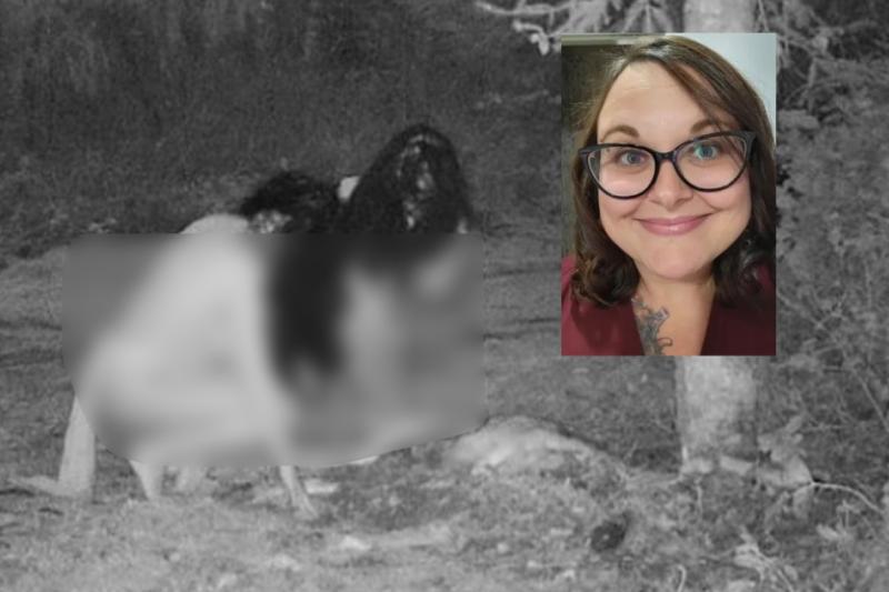 Mujer asegura que grabó a dos brujas comiéndose un cadáver en el patio de su casa