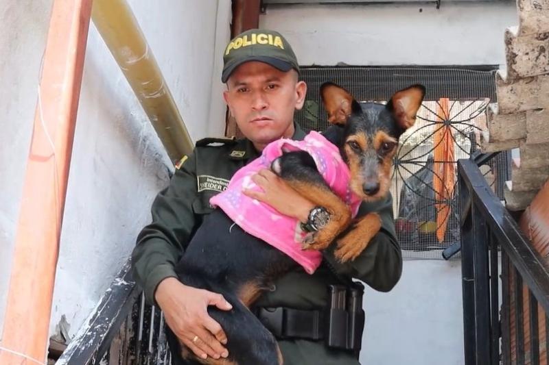 ¡Policía de Ibagué se convirtió en héroe! Adoptó a la perrita que salvaron en el Río Combeima