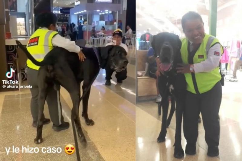 ¡Perrito y celadora de centro comercial en Ibagué se hicieron virales! En redes los aman